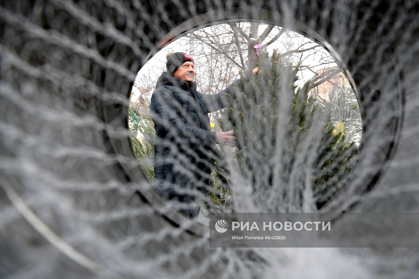 Открытие елочных базаров в Москве 