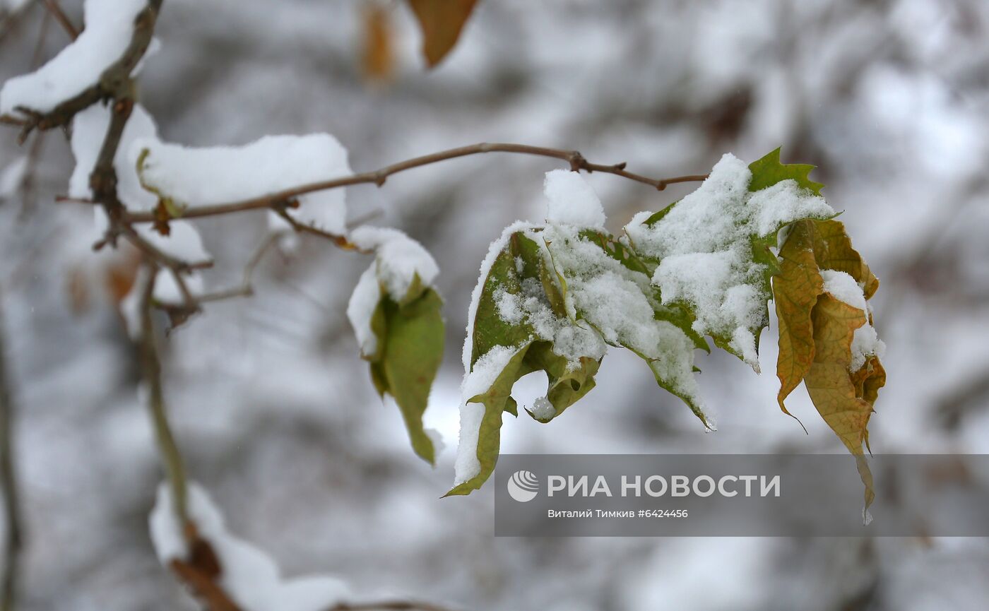 Снегопад в Краснодарском крае