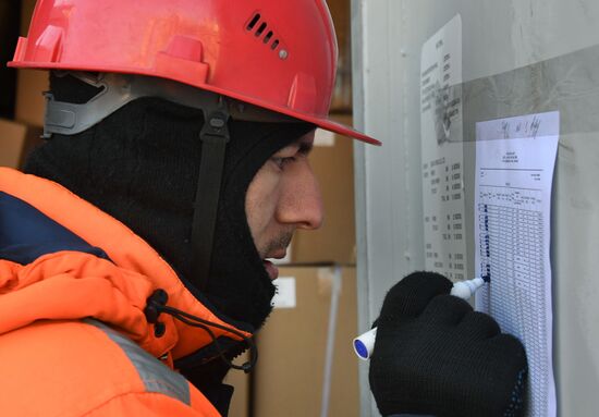 Работа докеров контейнерного терминала Владивостокского морского торгового порта