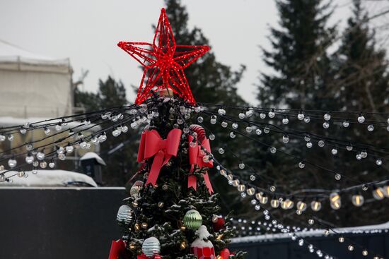 Предновогодний Новосибирск