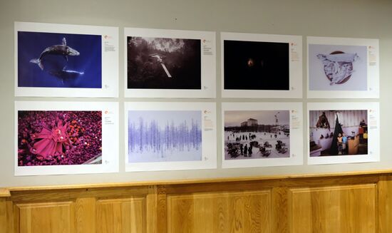 Открытие выставки победителей конкурса им. Андрея Стенина в Претории