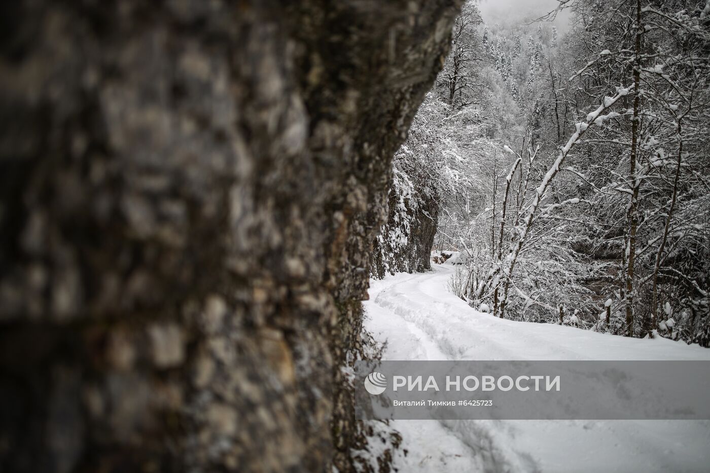 Зимний туризм в заснеженном Гуамском ущелье