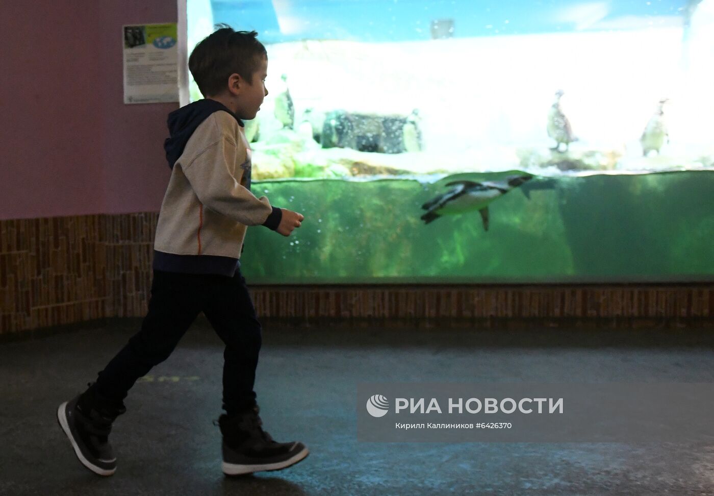 Акция "Елка желаний" для мальчика П. Лобусева