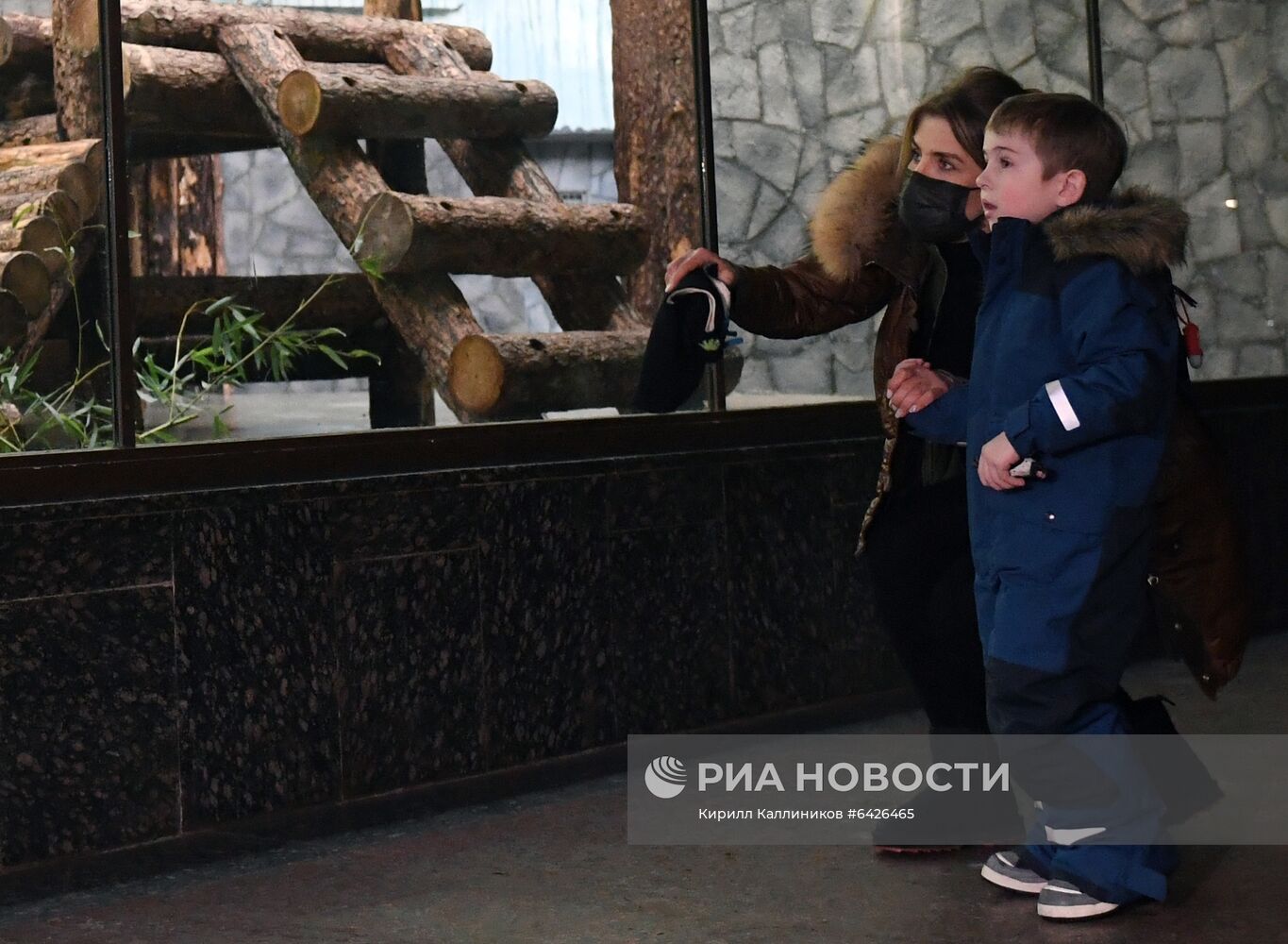 Акция "Елка желаний" для мальчика П. Лобусева