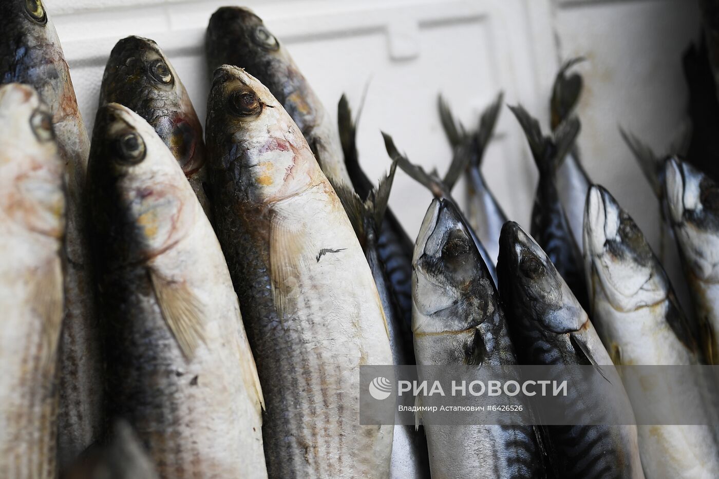 Преображенский рынок в Москве 