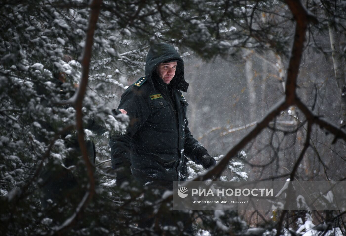 Рейд по незаконной вырубке елок