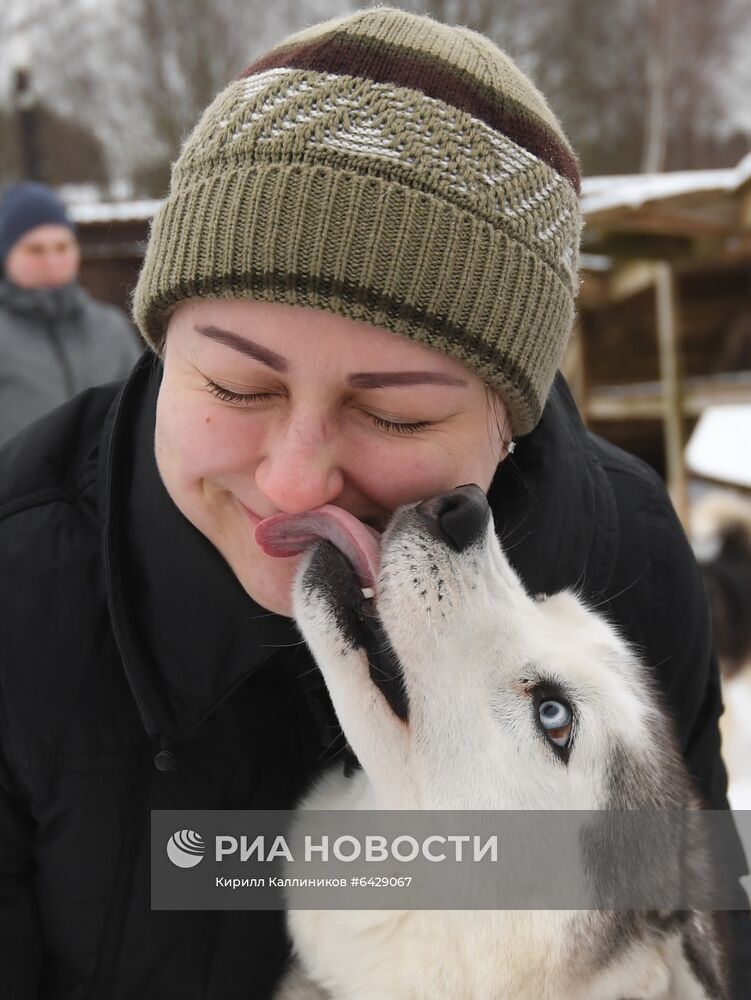 Хаски-деревня "Рузская Аляска"