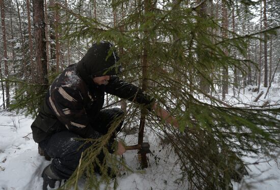 Подготовка к Новому году семьи из Екатеринбурга