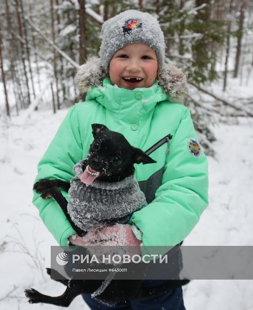 Подготовка к Новому году семьи из Екатеринбурга