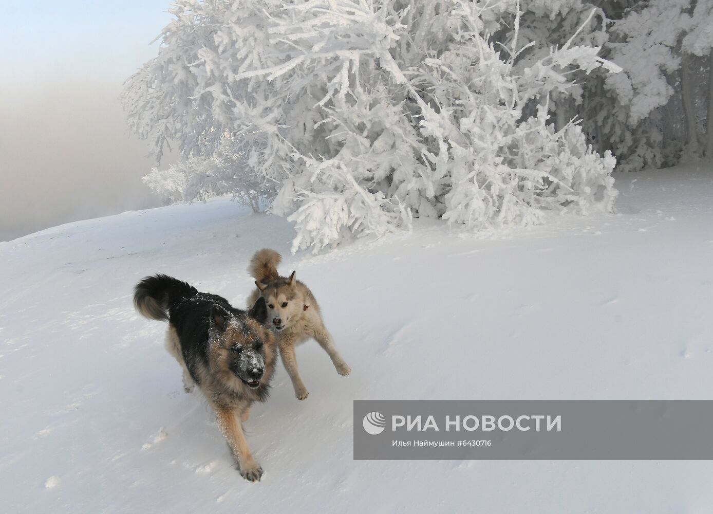 Морозы в Красноярском крае