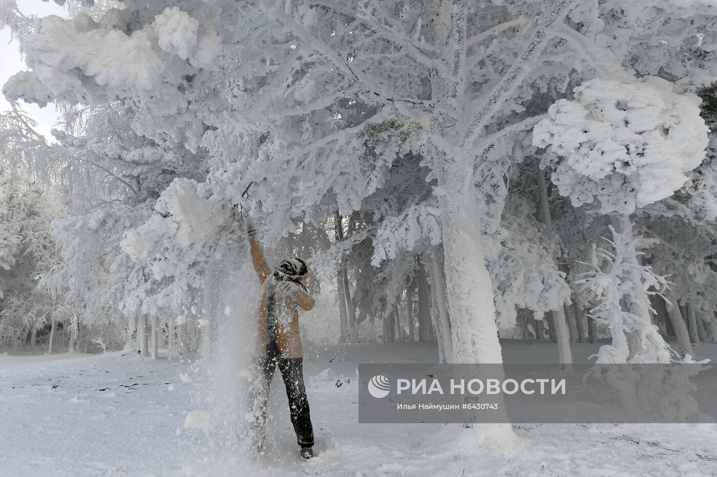 Морозы в Красноярском крае