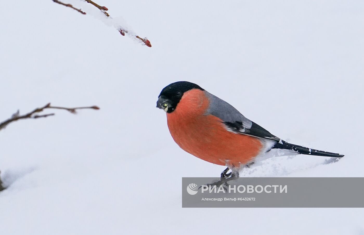 Зима в Московской области