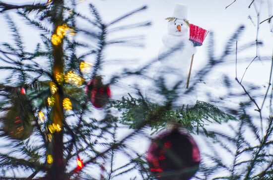 Зима в Московской области