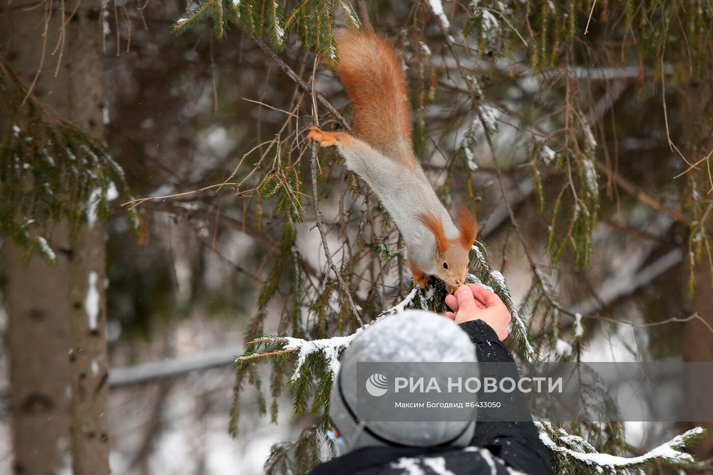 Новогодние каникулы в Казани