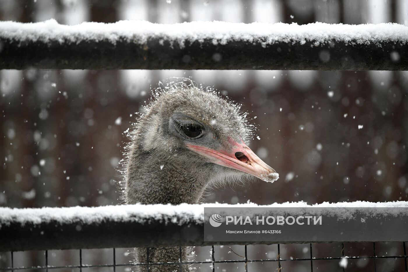 Московский зоопарк