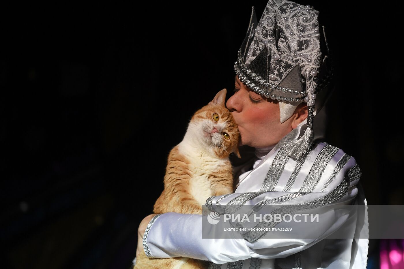 Новогоднее шоу в Театре кошек Куклачева