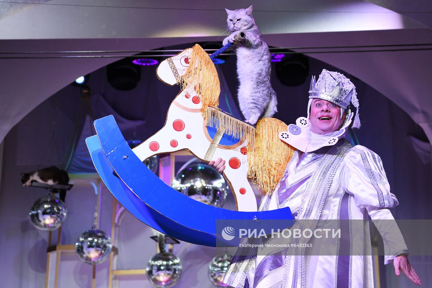 Новогоднее шоу в Театре кошек Куклачева