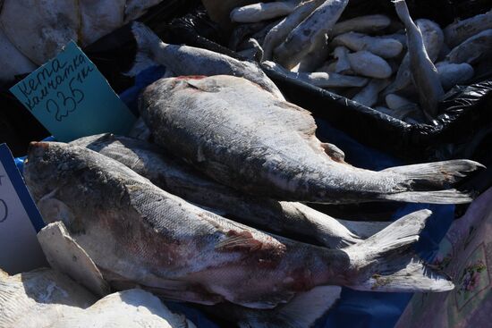 Рождественская продовольственная ярмарка во Владивостоке