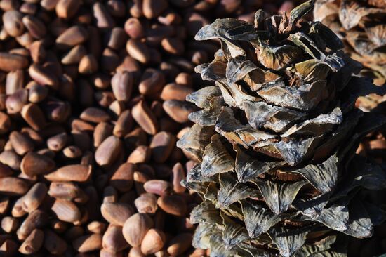 Рождественская продовольственная ярмарка во Владивостоке