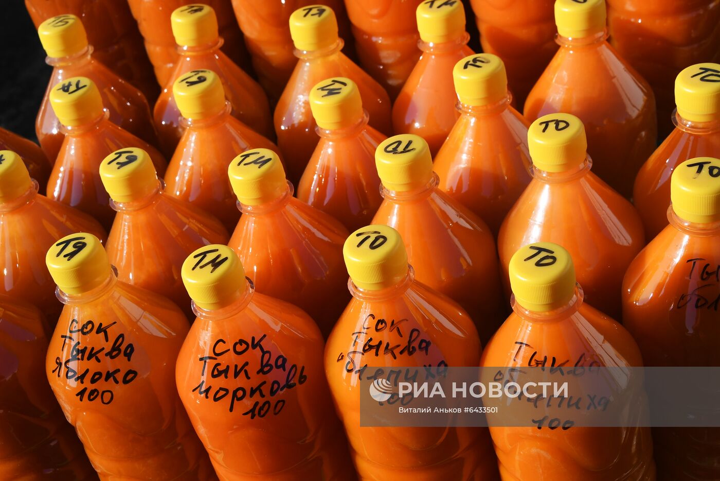 Рождественская продовольственная ярмарка во Владивостоке