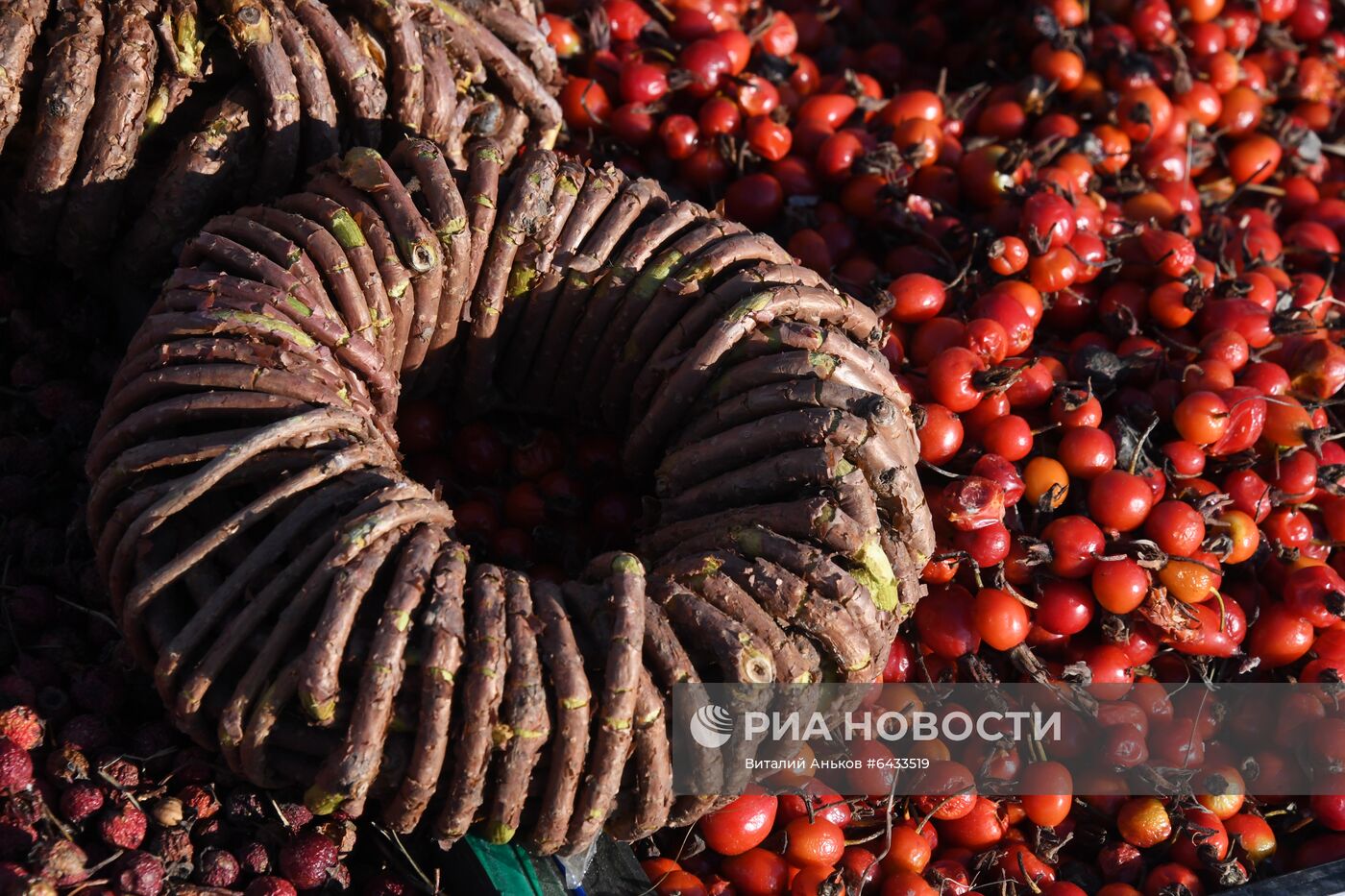 Рождественская продовольственная ярмарка во Владивостоке