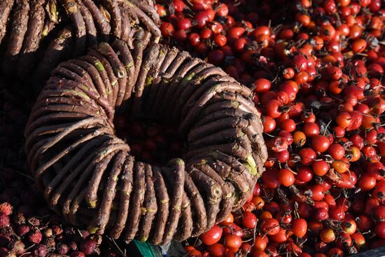 Рождественская продовольственная ярмарка во Владивостоке