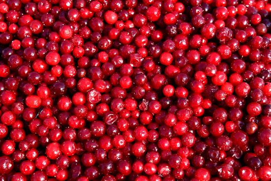 Рождественская продовольственная ярмарка во Владивостоке