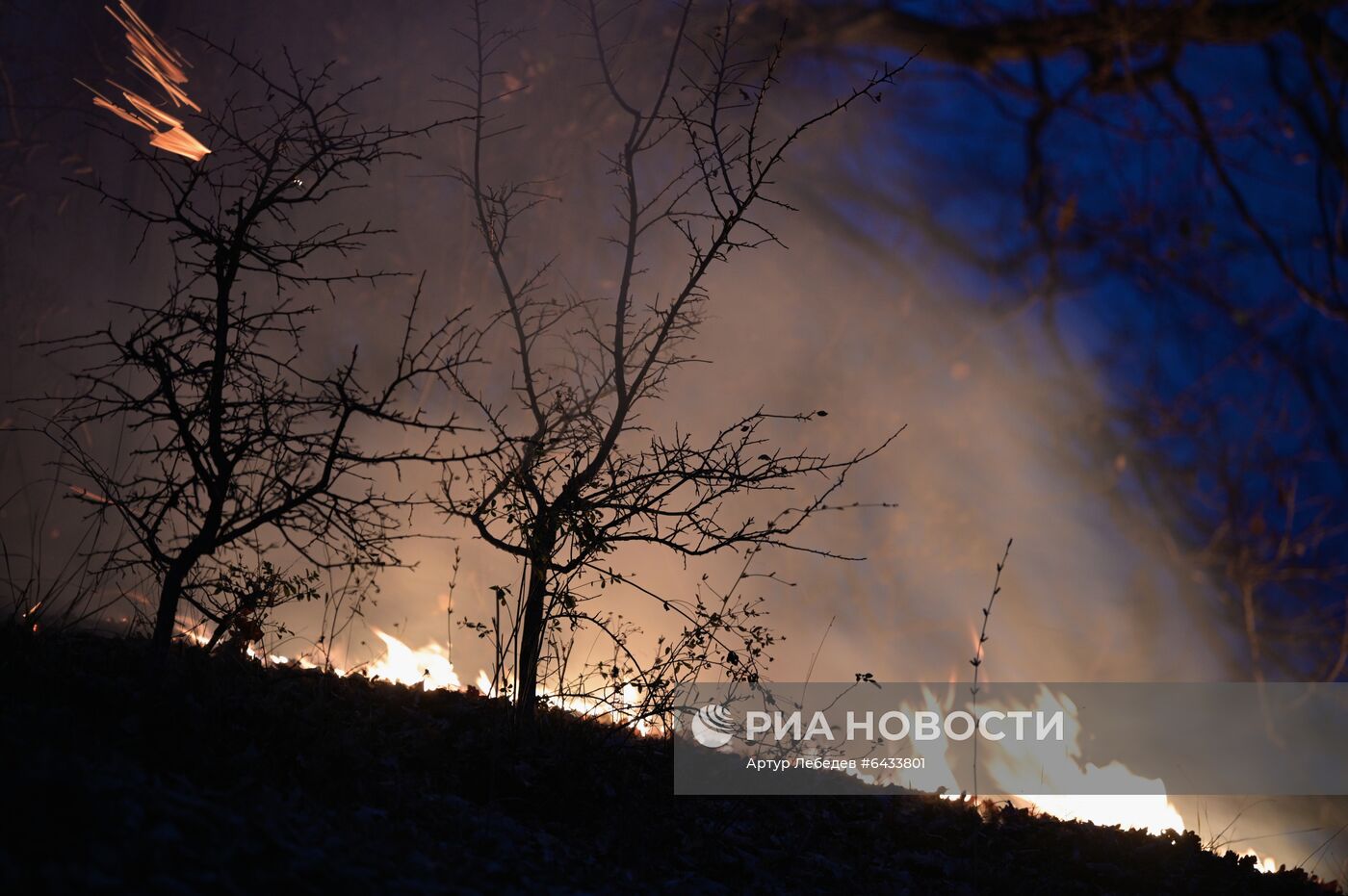 Лесные пожары в Сочи