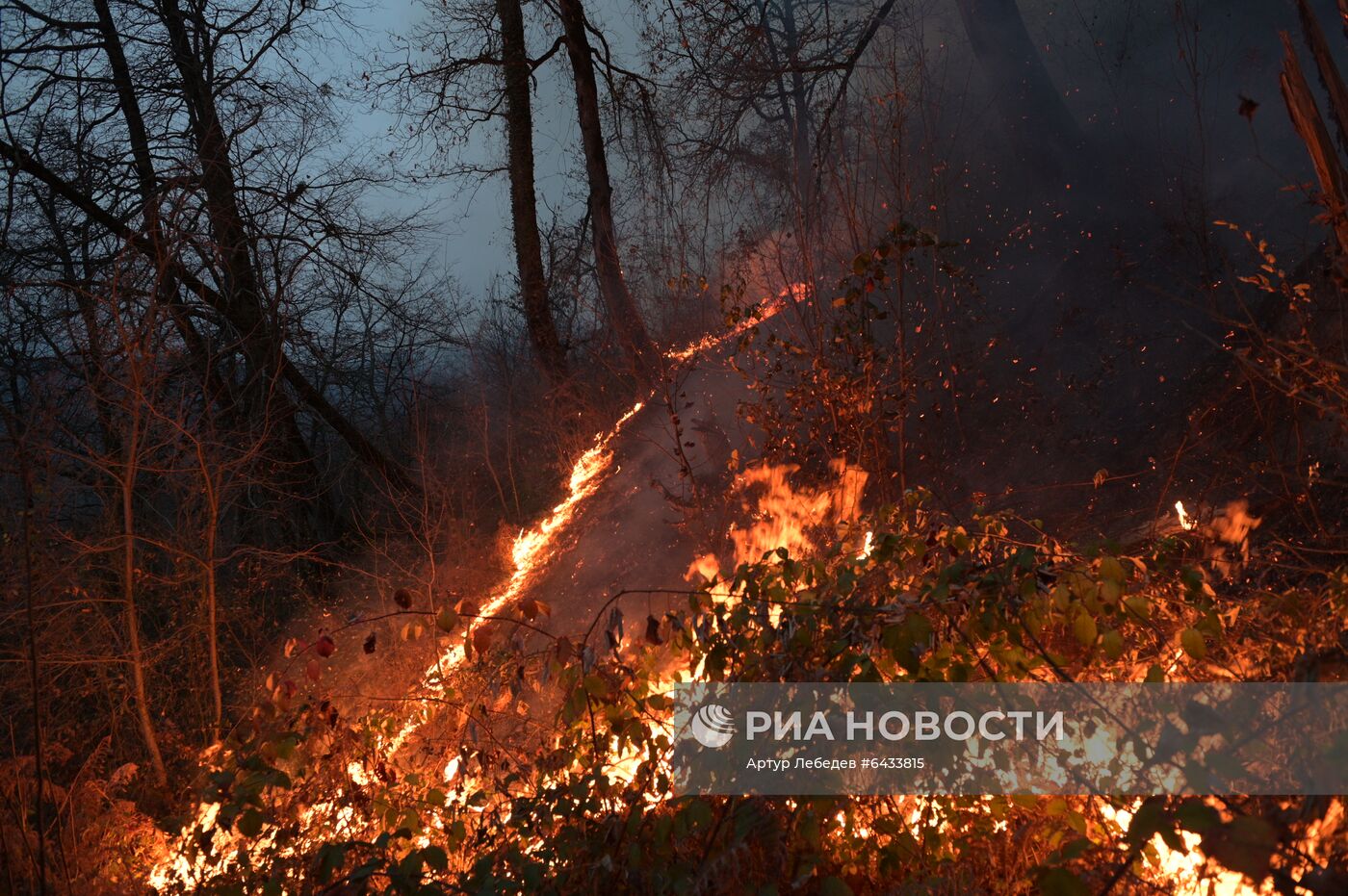 Лесные пожары в Сочи