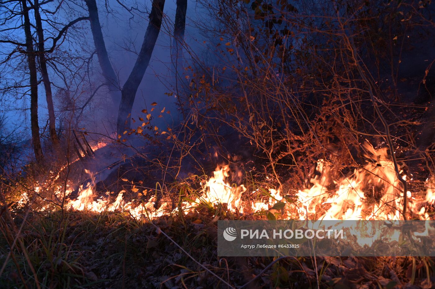 Лесные пожары в Сочи