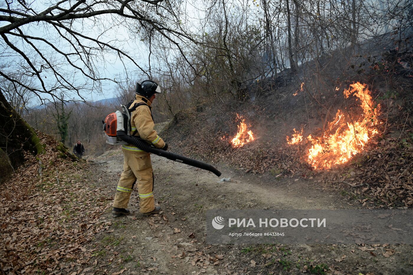 Лесные пожары в Сочи