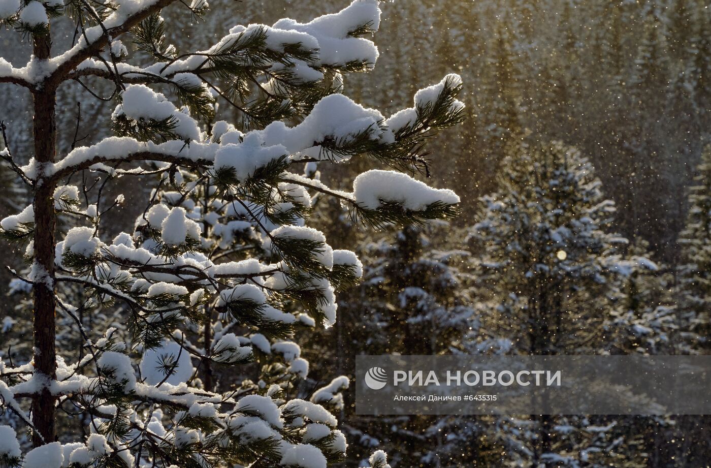 Зима в Карелии