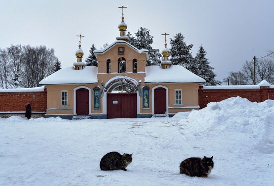 Зима в Карелии