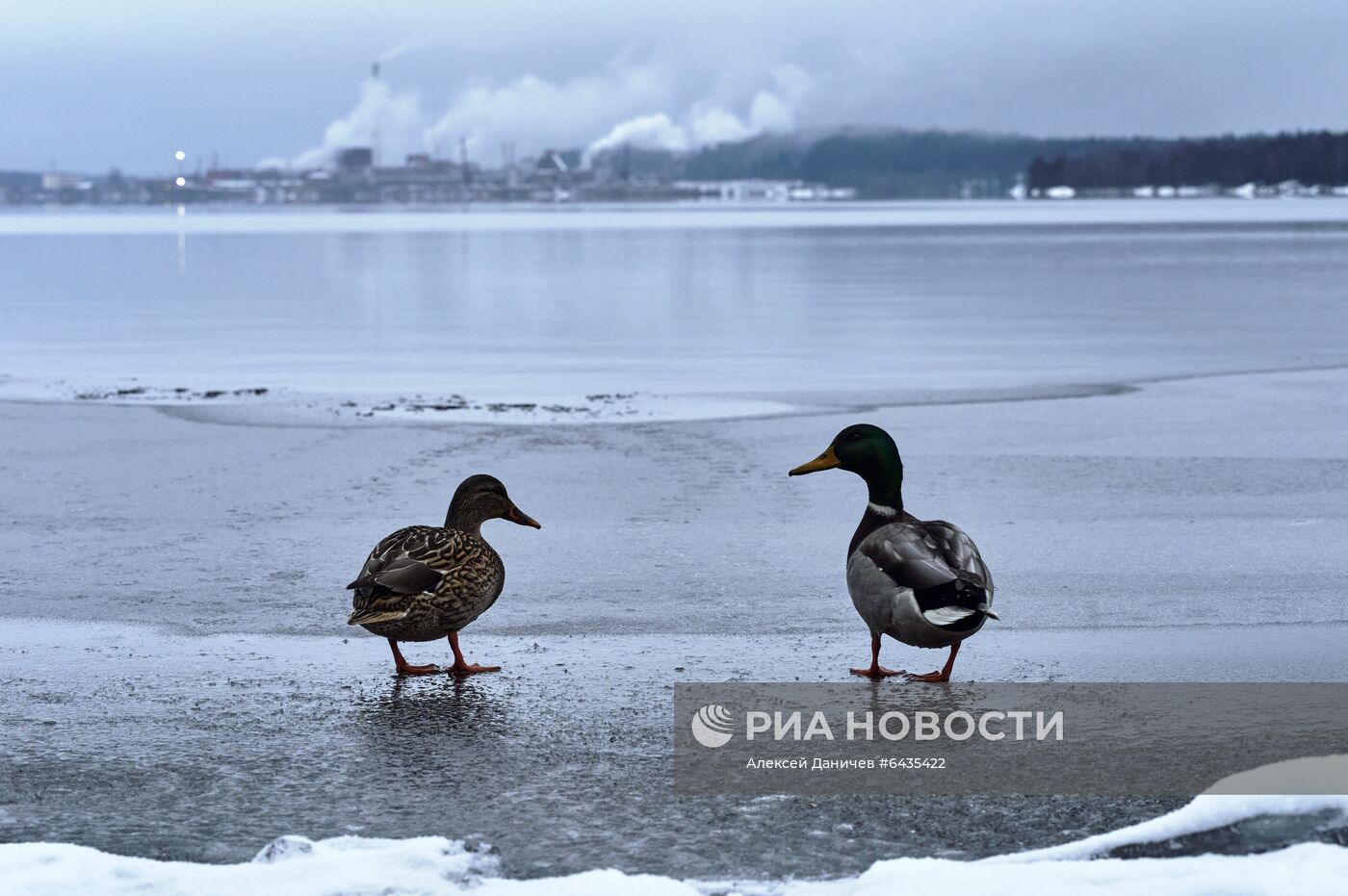 Зима в Карелии