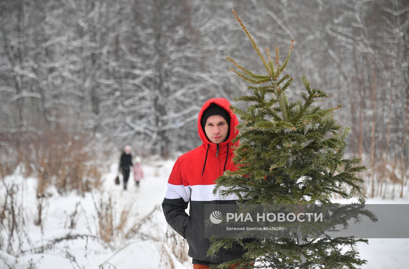 Утилизация елок в Москве