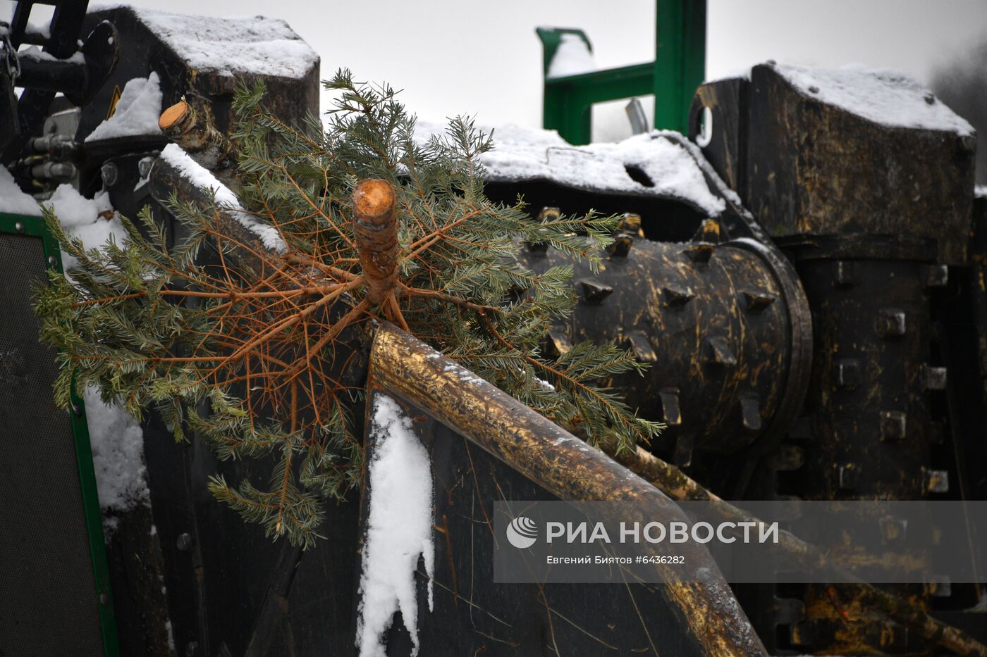 Утилизация елок в Москве