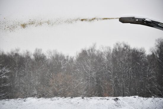 Утилизация елок в Москве