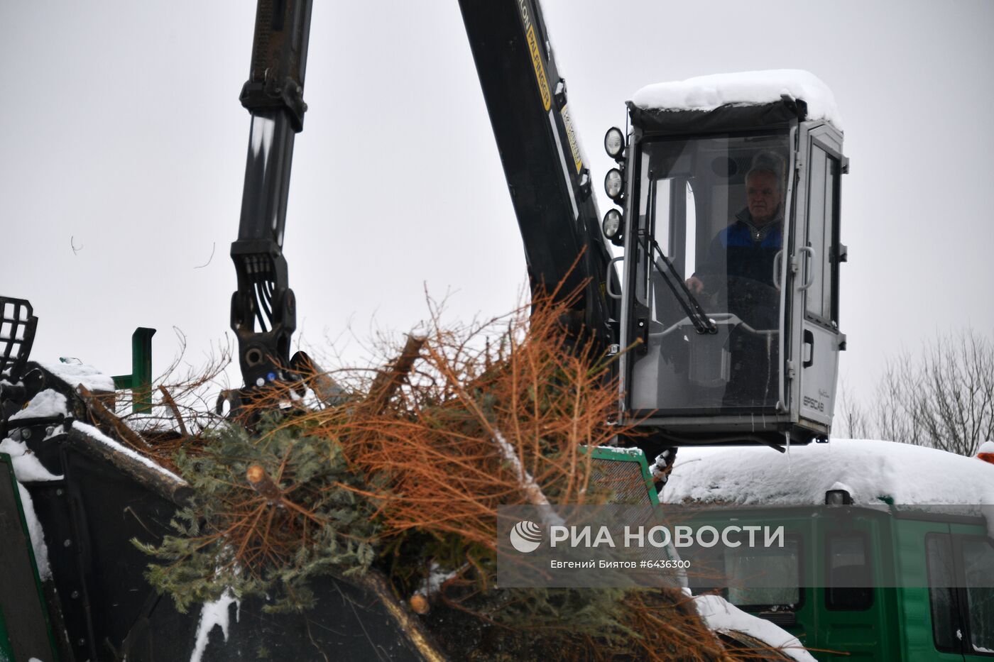 Утилизация елок в Москве