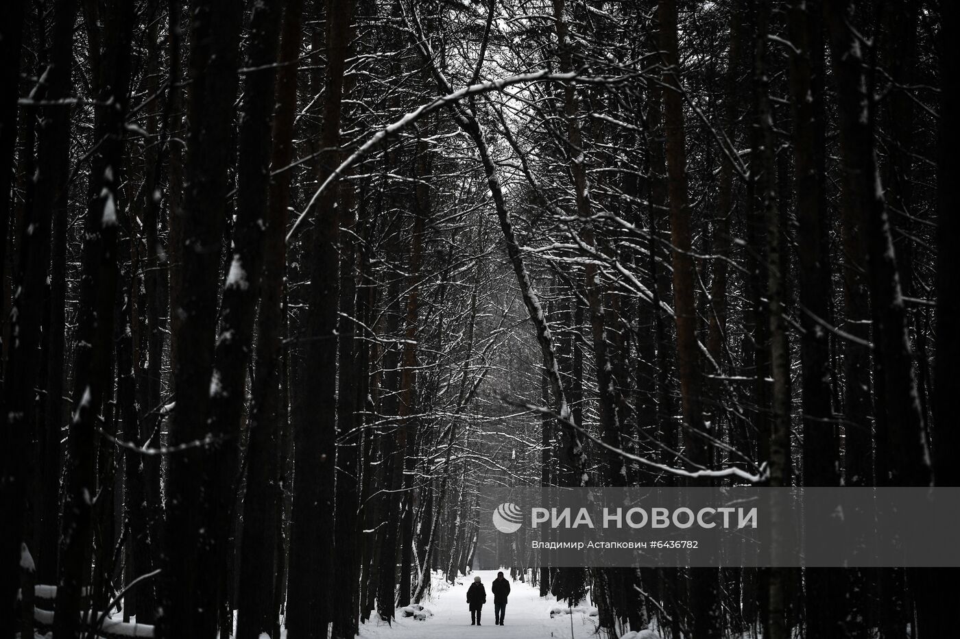 Зима в Москве