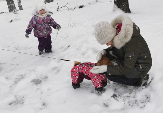 Снегопад во Владивостоке