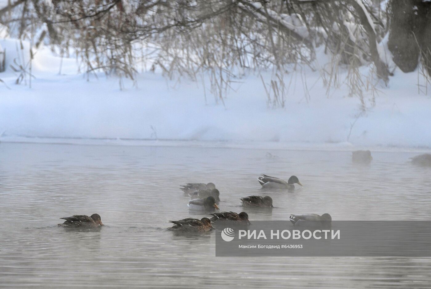 Природный заповедник "Голубые озёра" в Татарстане