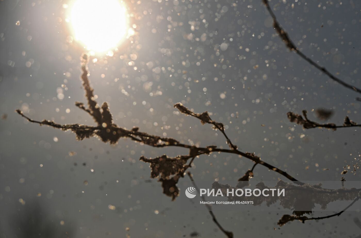 Природный заповедник "Голубые озёра" в Татарстане