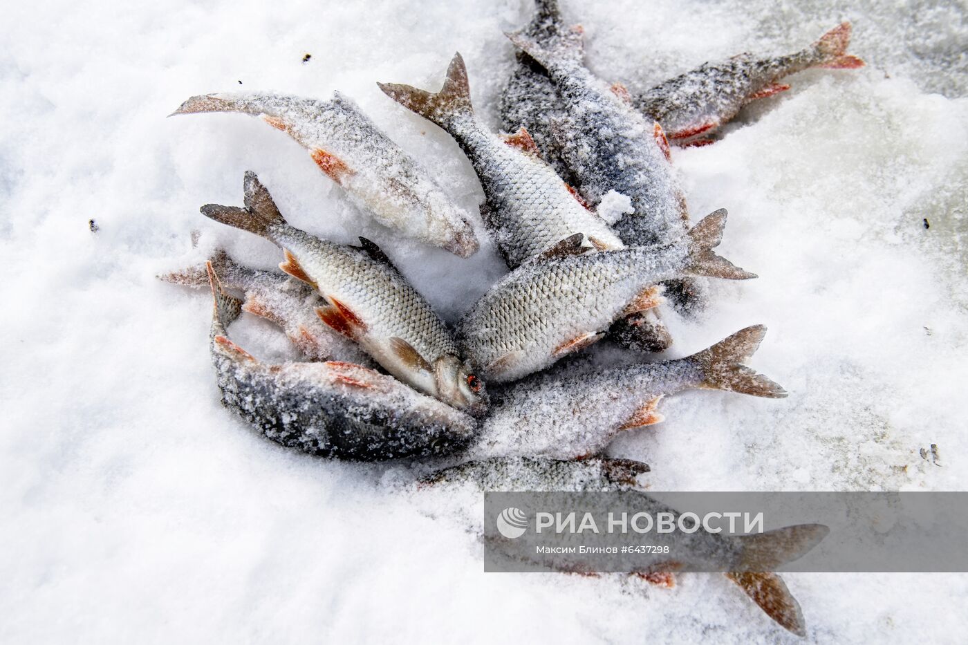 Зимняя рыбалка в Москве
