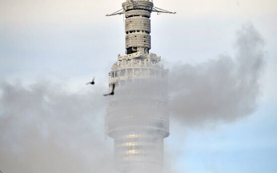 Останкинская телебашня в Москве