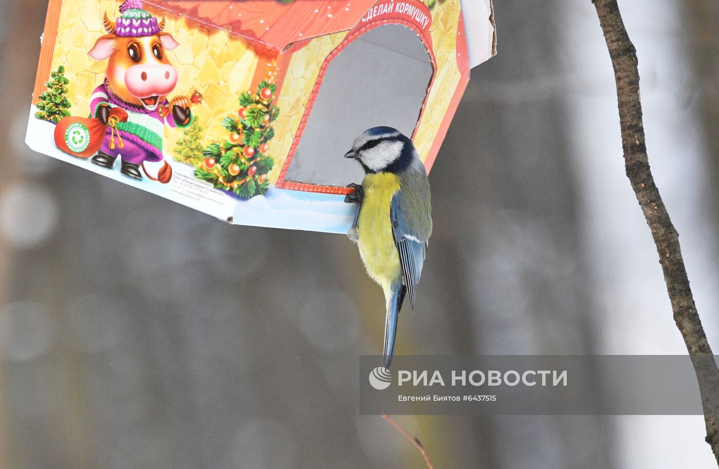 Зима в городах России