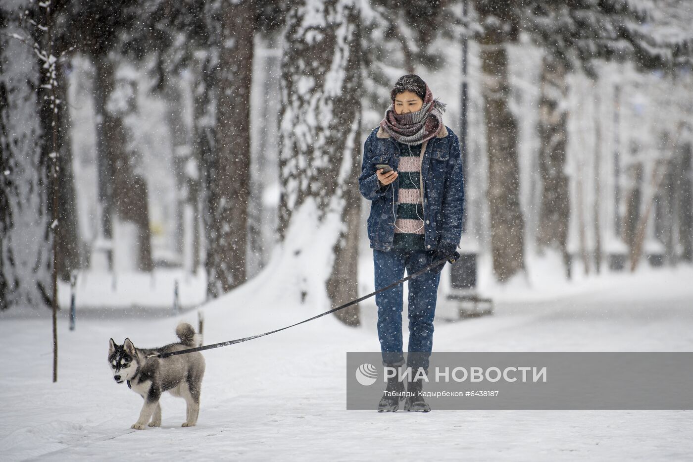 Снегопад в Бишкеке