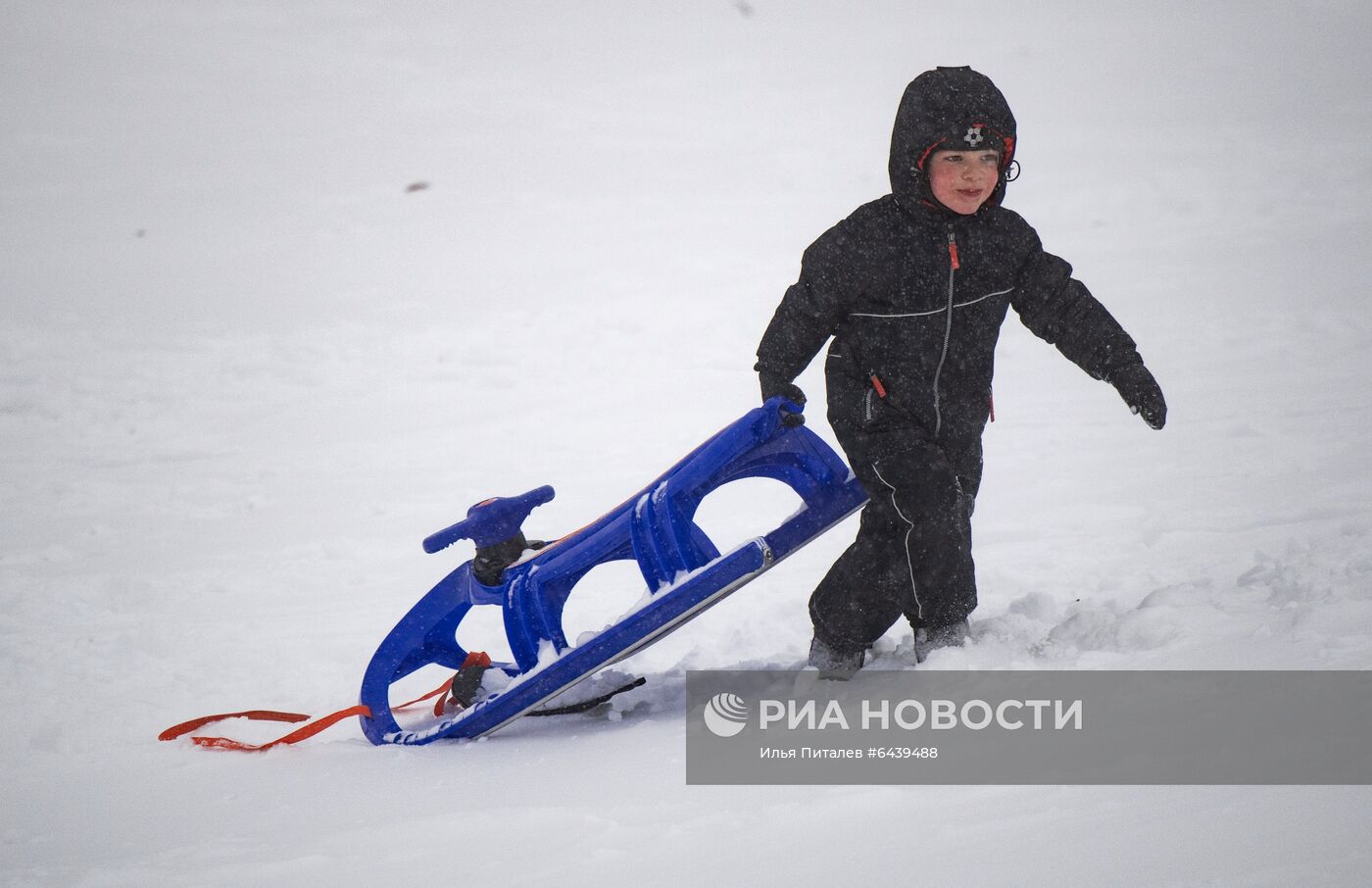 Отдых горожан в парке "Ходынское поле"