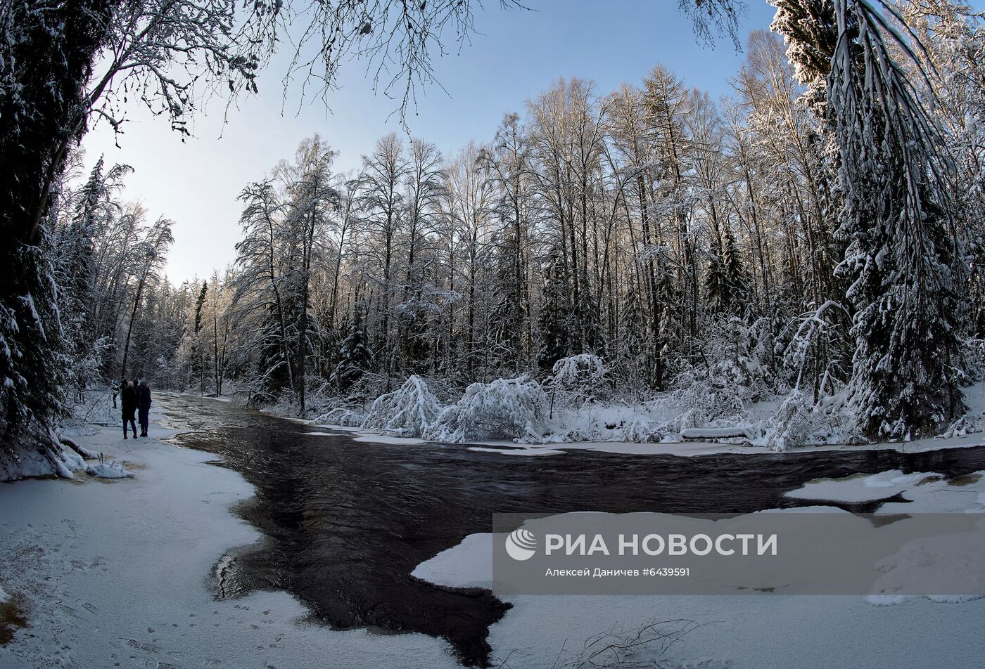 Зимняя Линдуловская роща в Ленинградской области