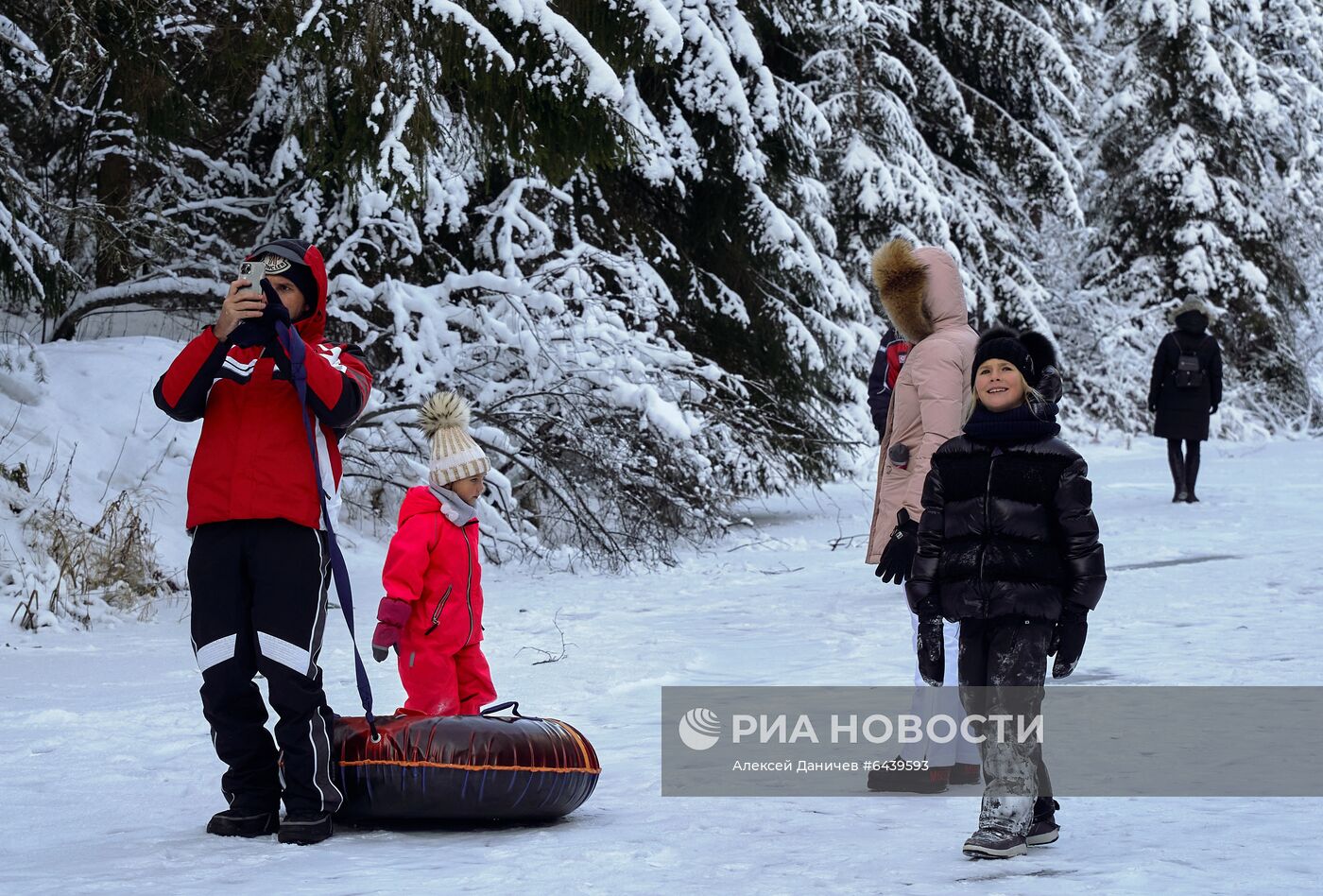 Зимняя Линдуловская роща в Ленинградской области