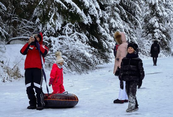 Зимняя Линдуловская роща в Ленинградской области